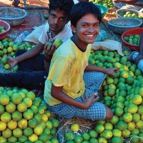 Two boys sitting in pile of fruit