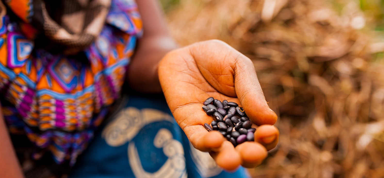 A hand holding black beans