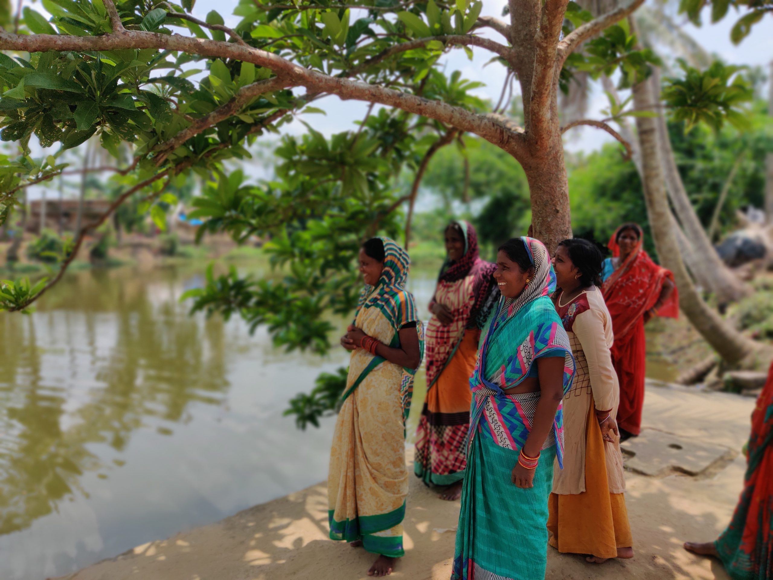 Gone Fishing: Women's Self-Help Groups and Community Aquaculture in Odisha  - TCI