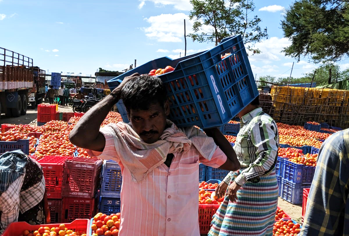 Man holding a crate of tomatoes