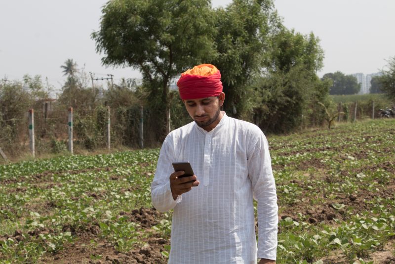 A farmer looking at a mobile phone