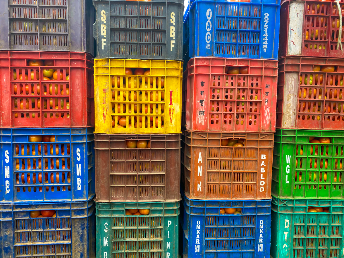 Crates of tomatoes