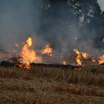A burning field