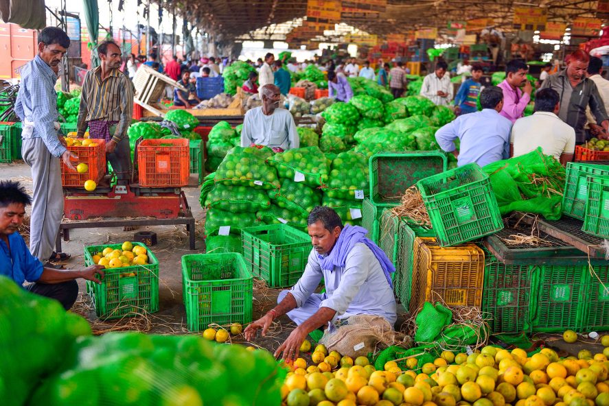 Workers packing citrus fruit in boxes at a market