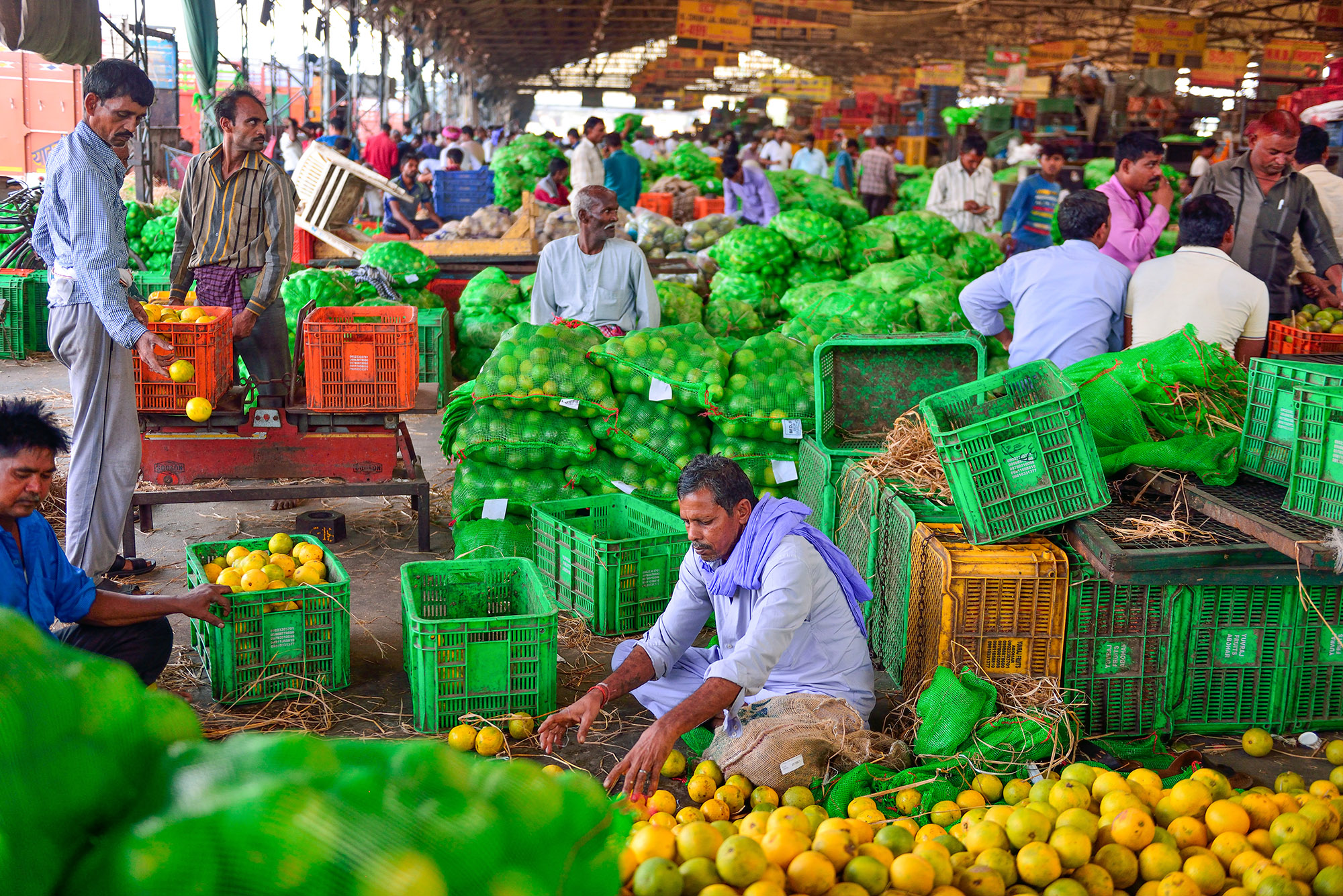 mapping-mandis-a-spatial-exploration-of-agricultural-markets-in-india