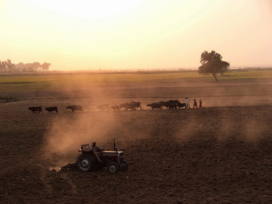 A Pakistani farmer drives a tractor