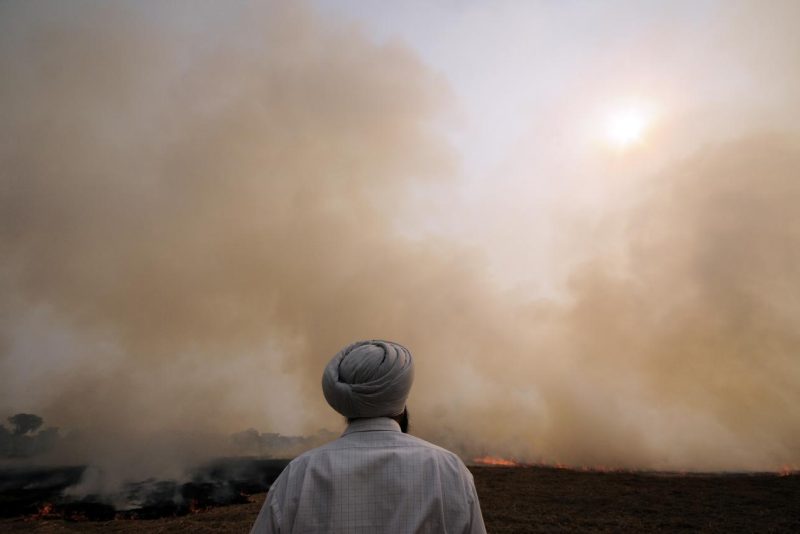 A man watches smoke from a crop fire in India