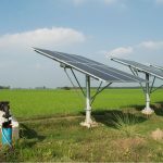 Solar panels powering irrigation pumps on a paddy field