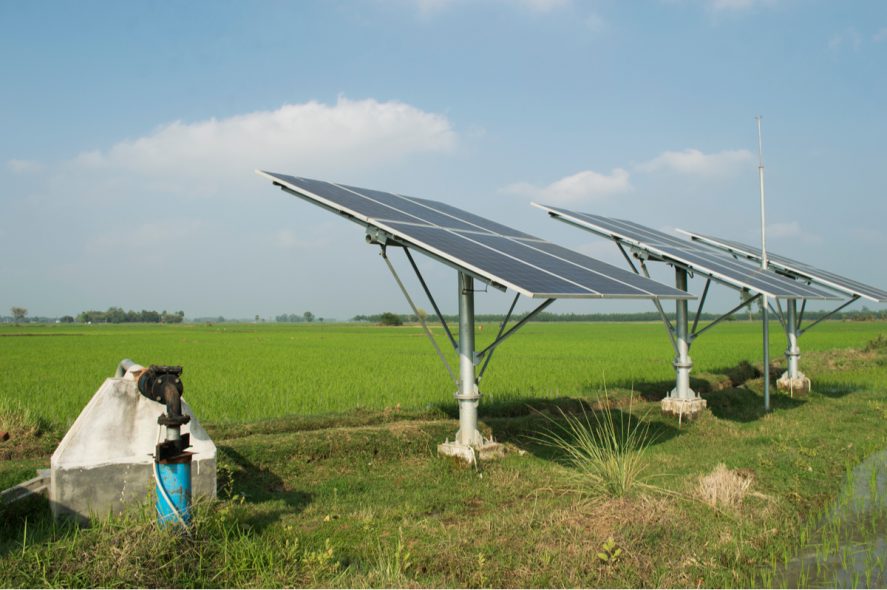 Solar panels powering irrigation pumps on a paddy field