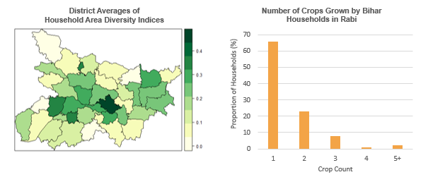 A map showing district averages of household area diversity indices, with the highest diversity in central Bihar. A bar graph showing the number of crops grown by households in Bihar during Rabi. More than 60% grow 1 crop, more than 20% grow 2, less than 10% grow 3, 4, or 5 crops.
