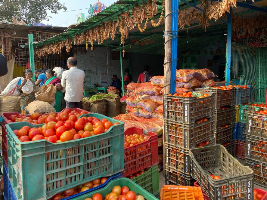 Crates of tomatoes at a market