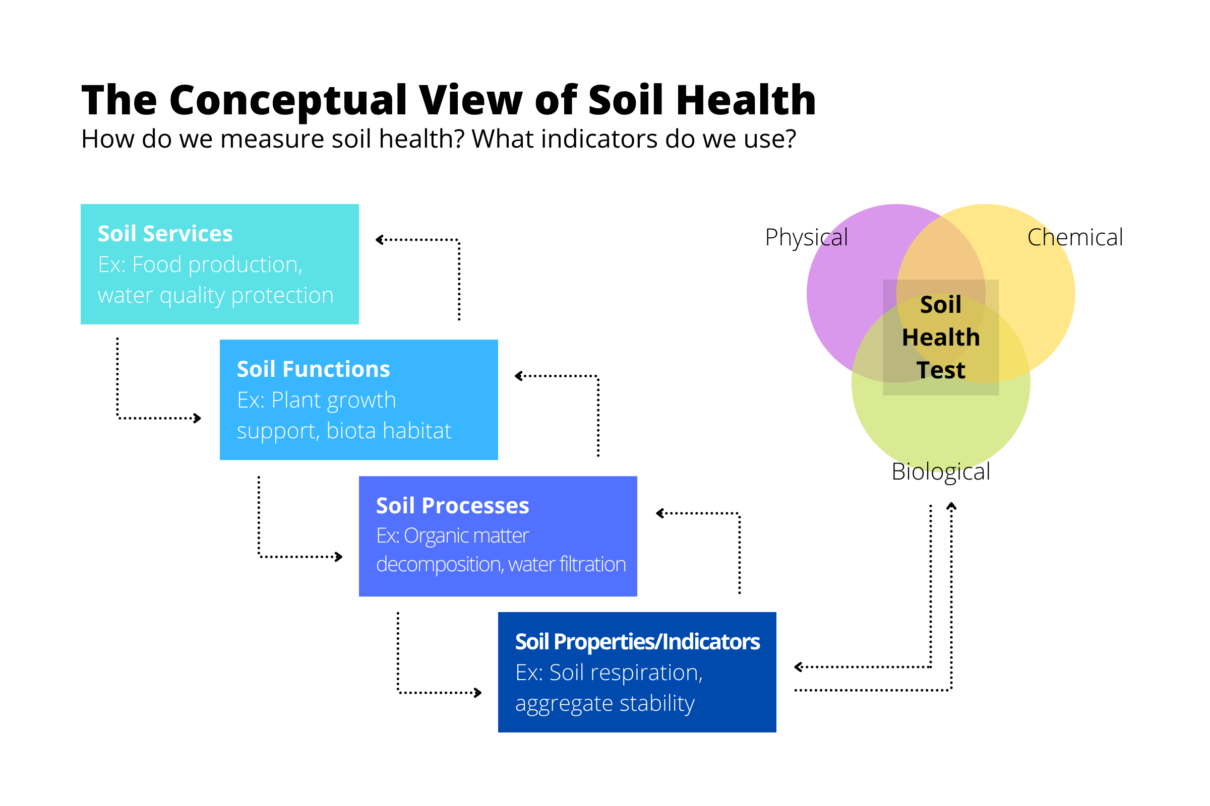A chart showing a conceptual view of soil health, including the indicators used for some soil health properties