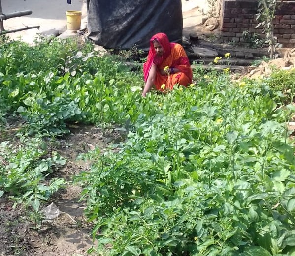 woman working in kitchen garden