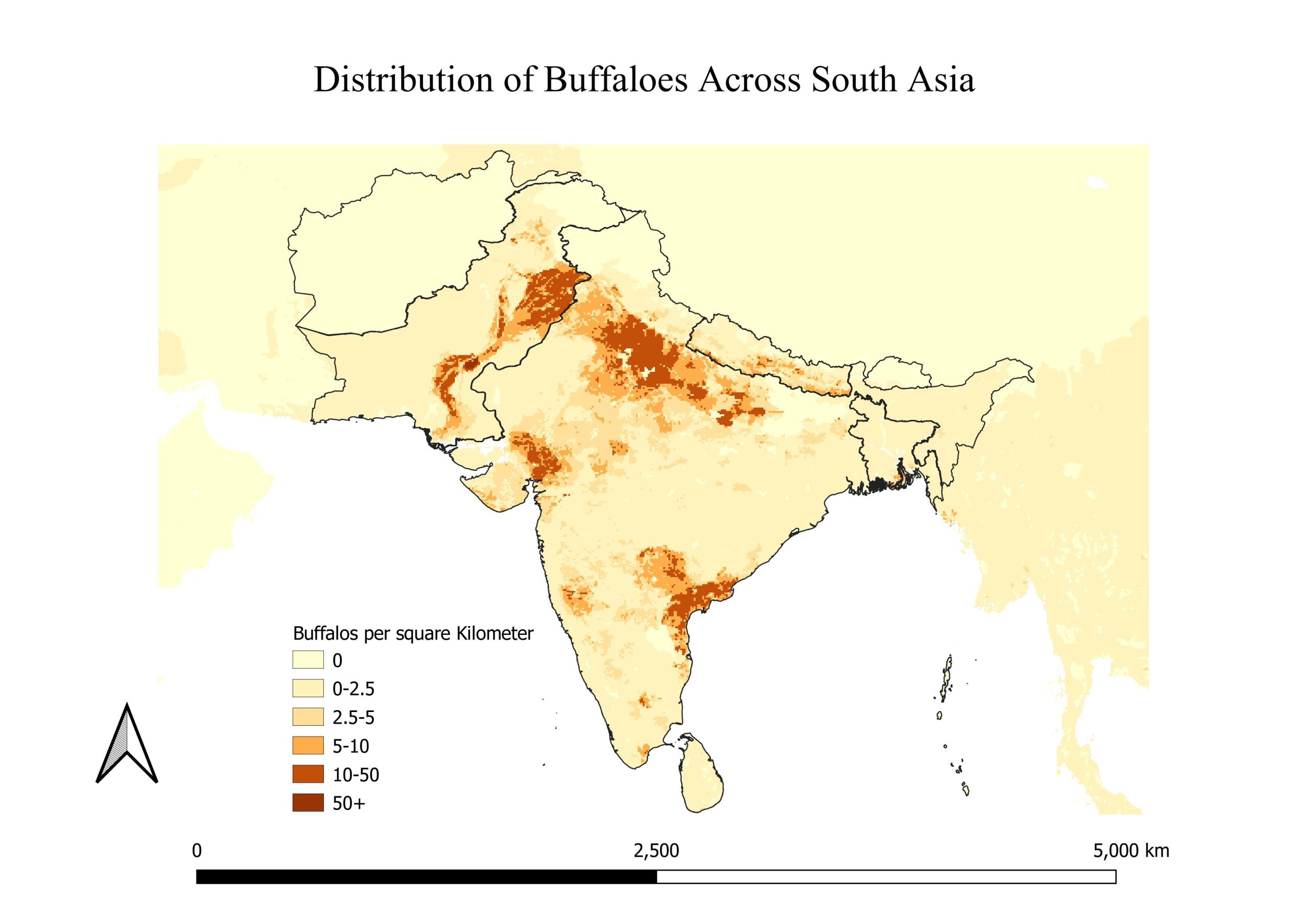 Map showing the distribution of buffalos per sq. km in India and Pakistan, with the highest concentrations in Punjab province in Pakistan and Gujarat, Uttar Pradesh and Andhra Pradesh states in India