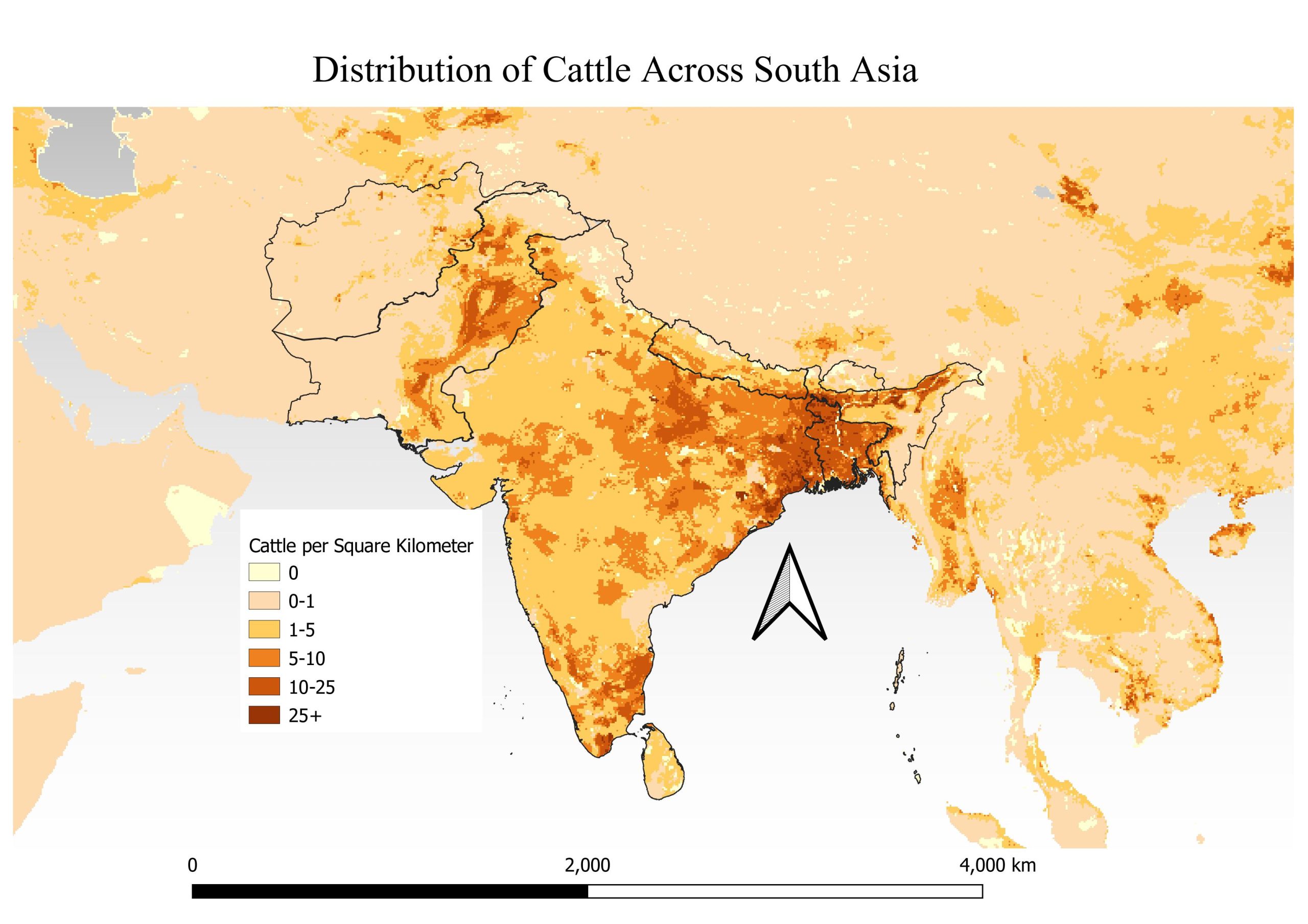 Map showing the distribution of cattle per sq. km in India and Pakistan, with the highest concentrations in Punjab and Sindh provinces in Pakistan, and West Bengal, Jharkhand, Bihar, Assam and Uttar Pradesh states in India