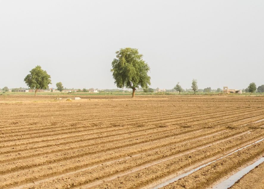 Farmland in Pakistan