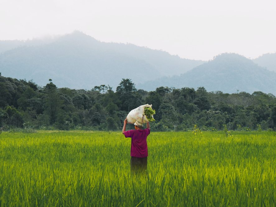 A woman standing in a field