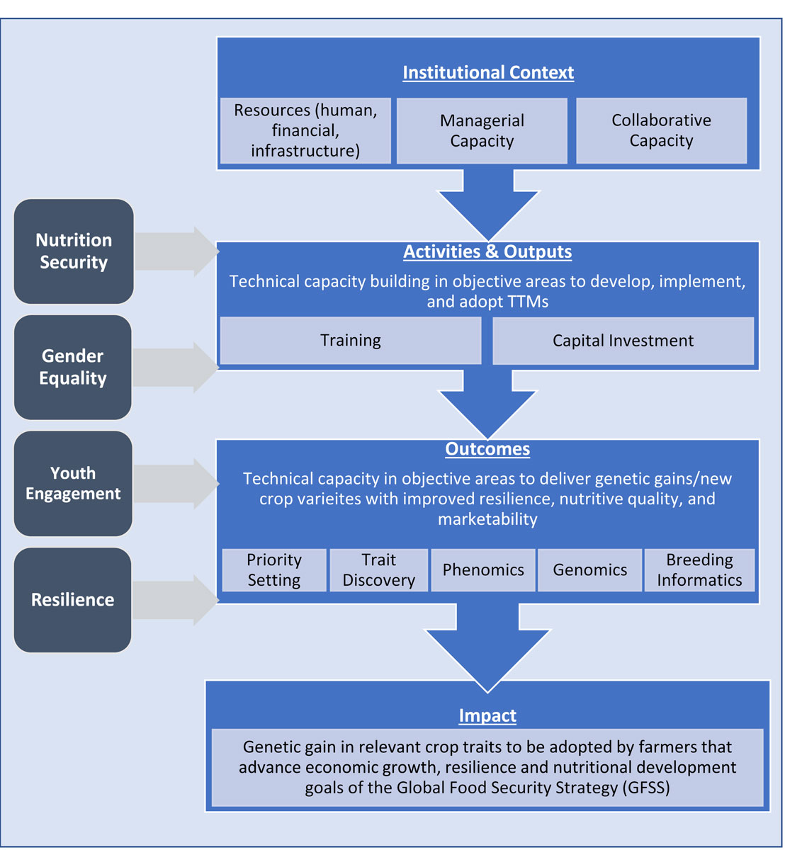 Conceptual framework for institutional capacity