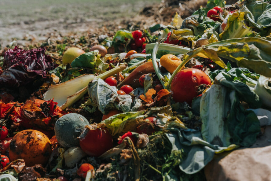 A pile of discarded vegetables