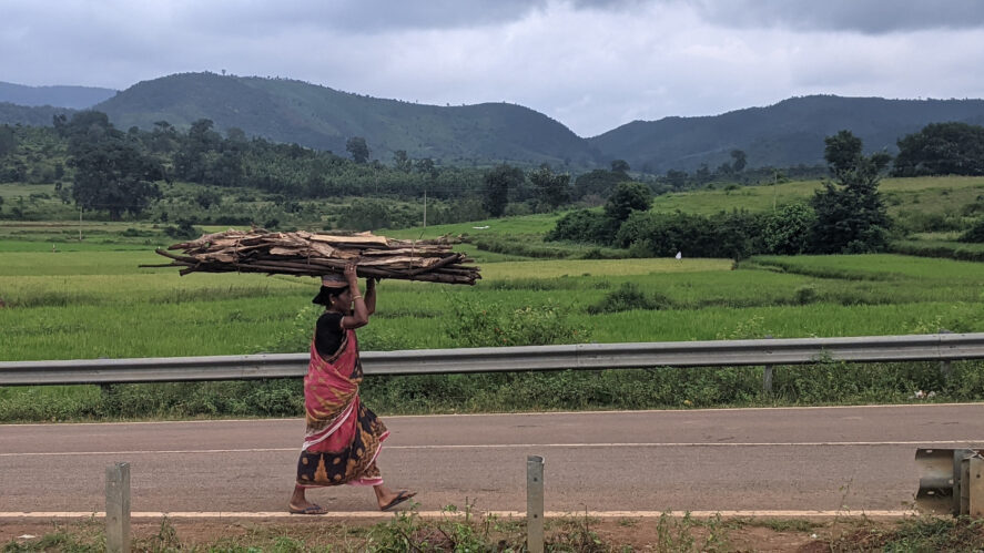 A woman carrying wood from a forest in Thuamul Rampur. (Photo by Amrutha Jose Pampackal/TCI)