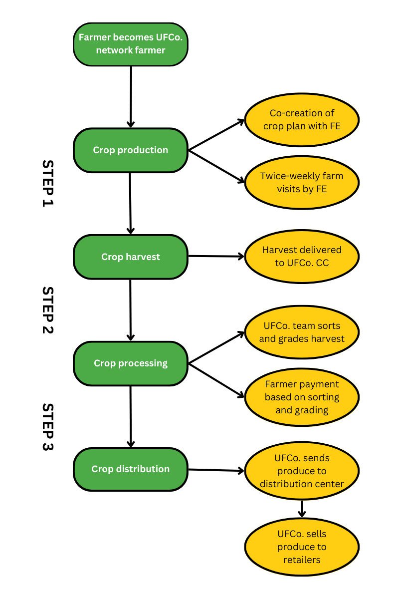A flow chart of Urban Farms Co. production