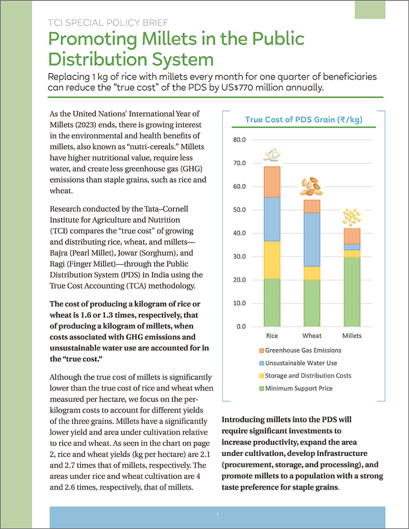 Policy brief on promoting millets in the PDS