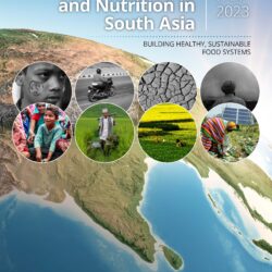 Food, Agriculture, and Nutrition in South Asia