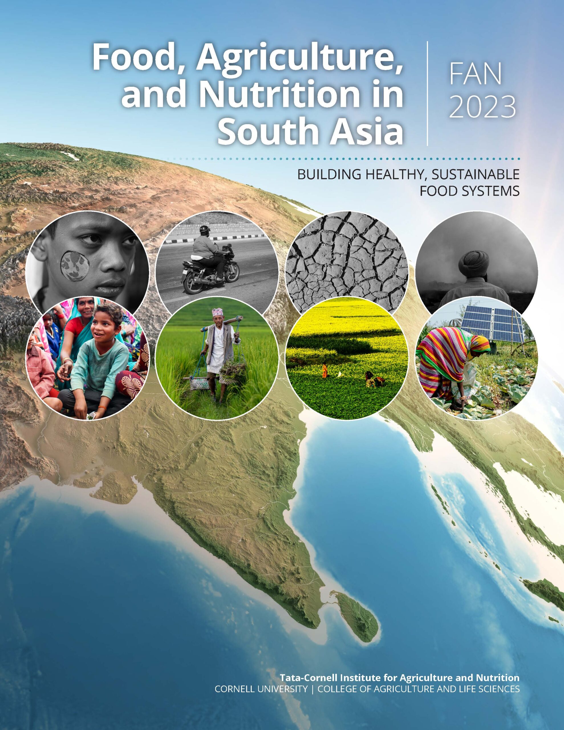 Food, Agriculture, and Nutrition in South Asia