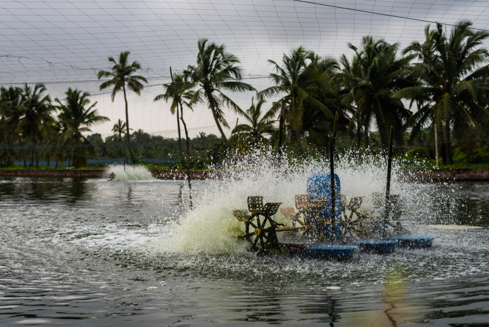 An aerator moves across a shrimp pond