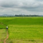 A man walking through farmland