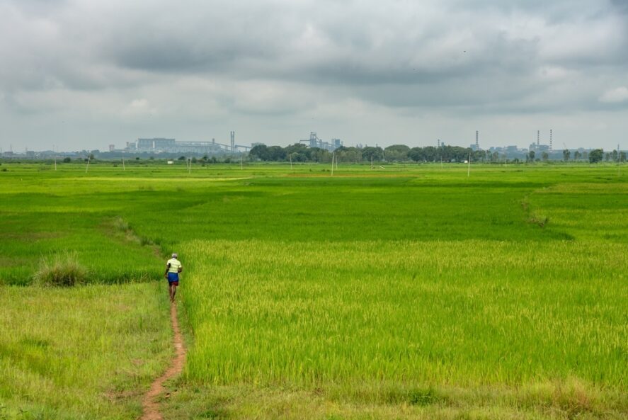 A man walking through farmland