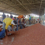 Men measure pulses at a market