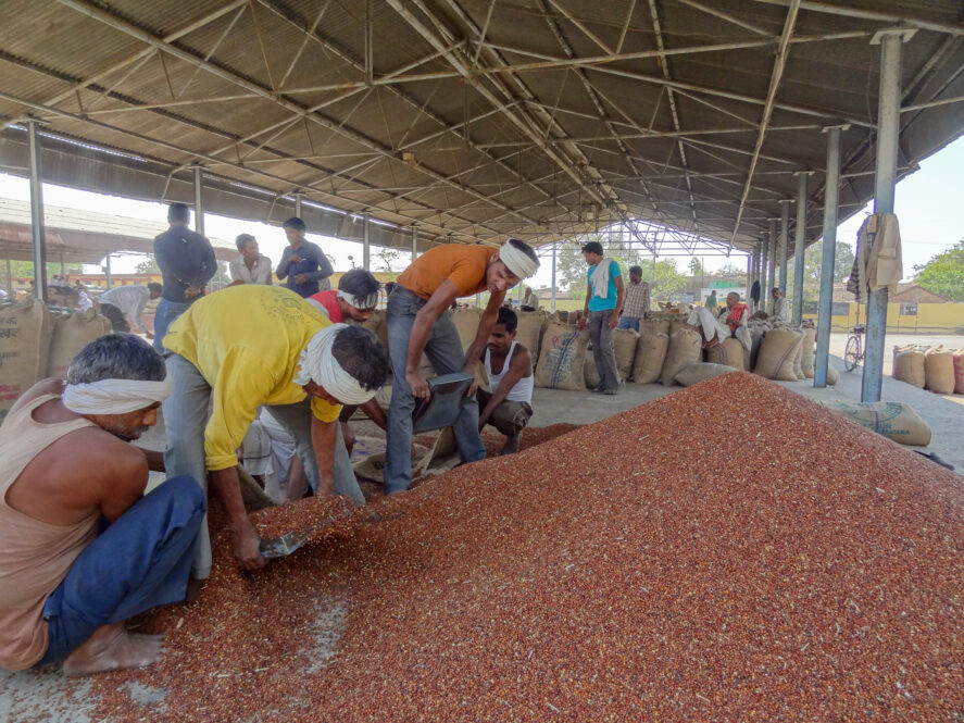 Men measure pulses at a market
