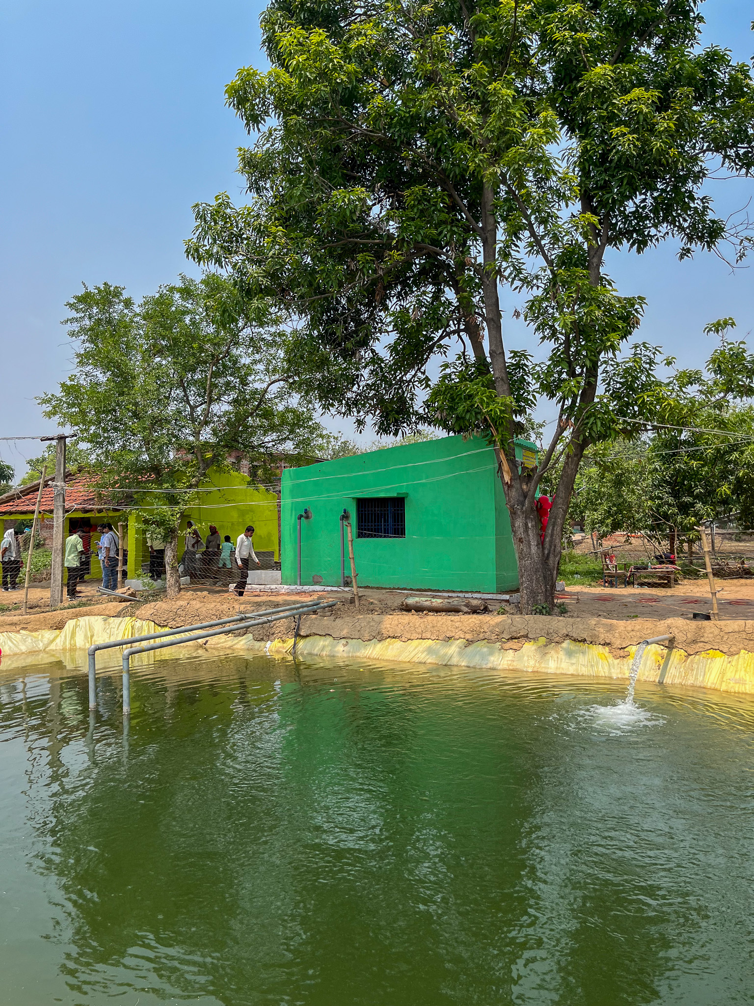 A green pump house next to an irrigation pond
