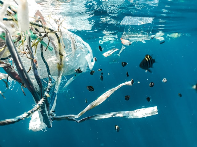 Plastic waste floating in the ocean
