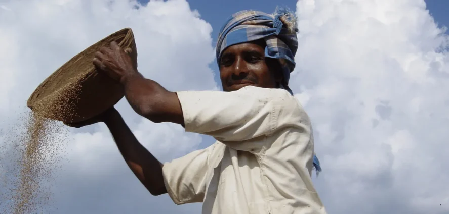 A farmer winnowing millet