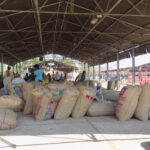 Bags of grain on display at a market