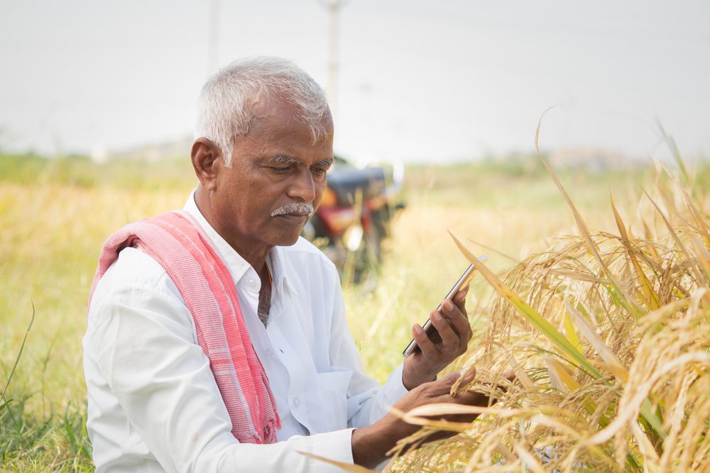 A farmer using his phone to assess crops