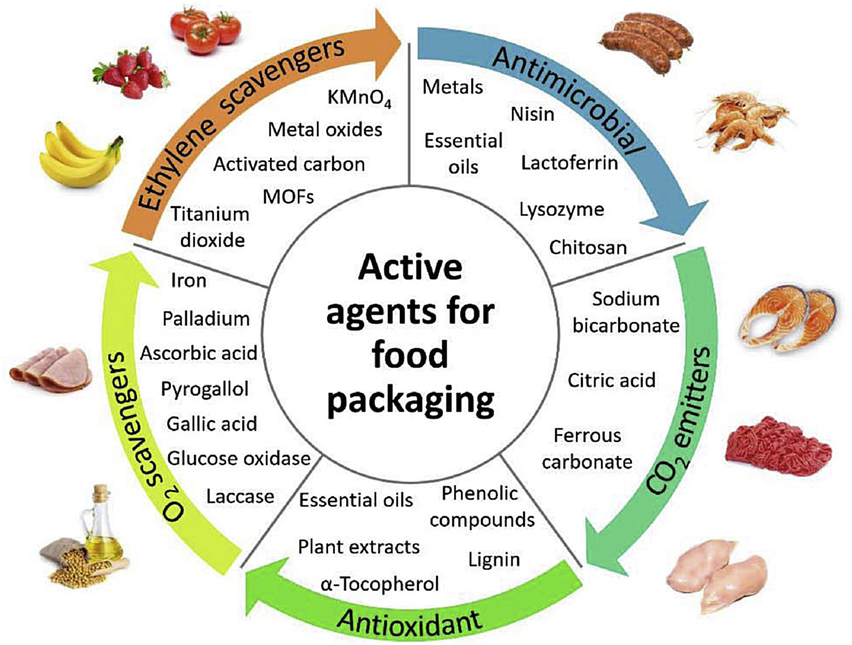 A circular infographic titled "Active agents for food packaging" displaying five categories of substances used to preserve food, each illustrated with specific examples and photos of relevant food items. The infographic, titled "Active agents for food packaging," illustrates five primary methods for extending food shelf life through a circular flow of categories and specific chemical or biological agents. Starting at the top left, Ethylene scavengers (orange section) utilize substances like KMnO4, metal oxides, activated carbon, MOFs, and titanium dioxide to prevent over-ripening in produce like bananas, strawberries, and tomatoes. Moving clockwise, the Antimicrobial category (blue section) employs metals, essential oils, nisin, lactoferrin, lysozyme, and chitosan to protect proteins such as sausages and shrimp from bacterial growth. The CO2 emitters (dark green section) use sodium bicarbonate, citric acid, and ferrous carbonate to maintain the freshness of salmon, ground beef, and chicken. The Antioxidant segment (bright green section) focuses on essential oils, plant extracts, alpha-tocopherol, phenolic compounds, and lignin to prevent oxidative spoilage. Finally, the O2 scavengers (yellow-green section) include iron, palladium, ascorbic acid, pyrogallol, gallic acid, glucose oxidase, and laccase, which are particularly effective for preserving deli meats and oils.