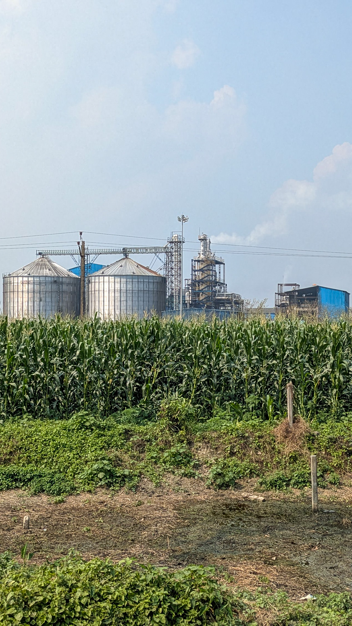 An ethanol plant behind a maize field