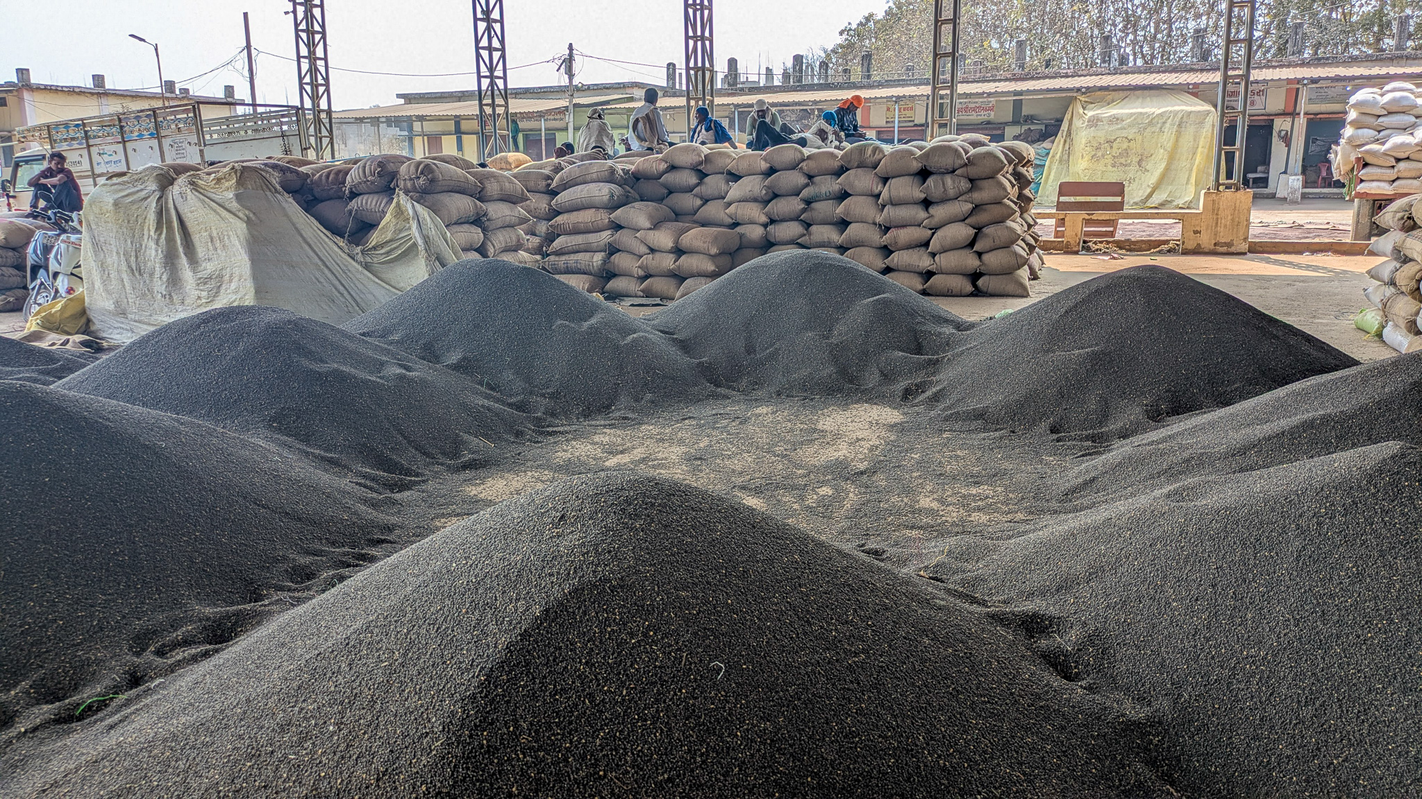 Piles of black gram at a market
