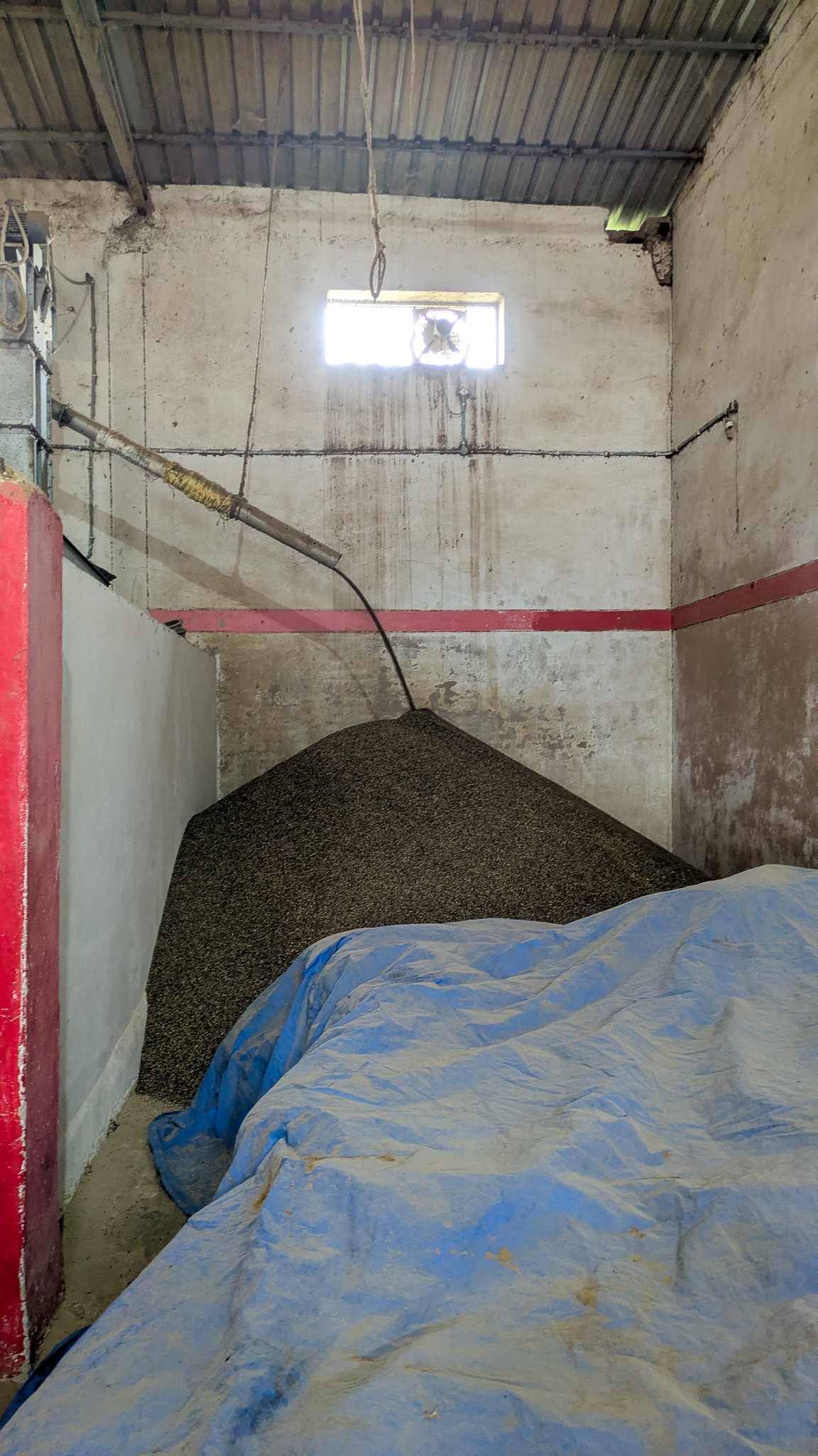 Black gram stored in a facility