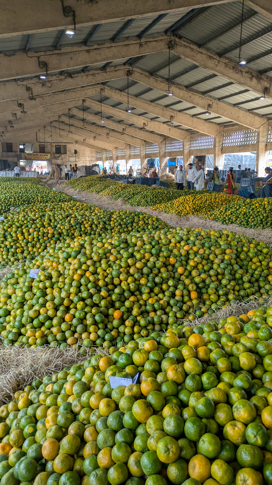 Piles of oranges at a market