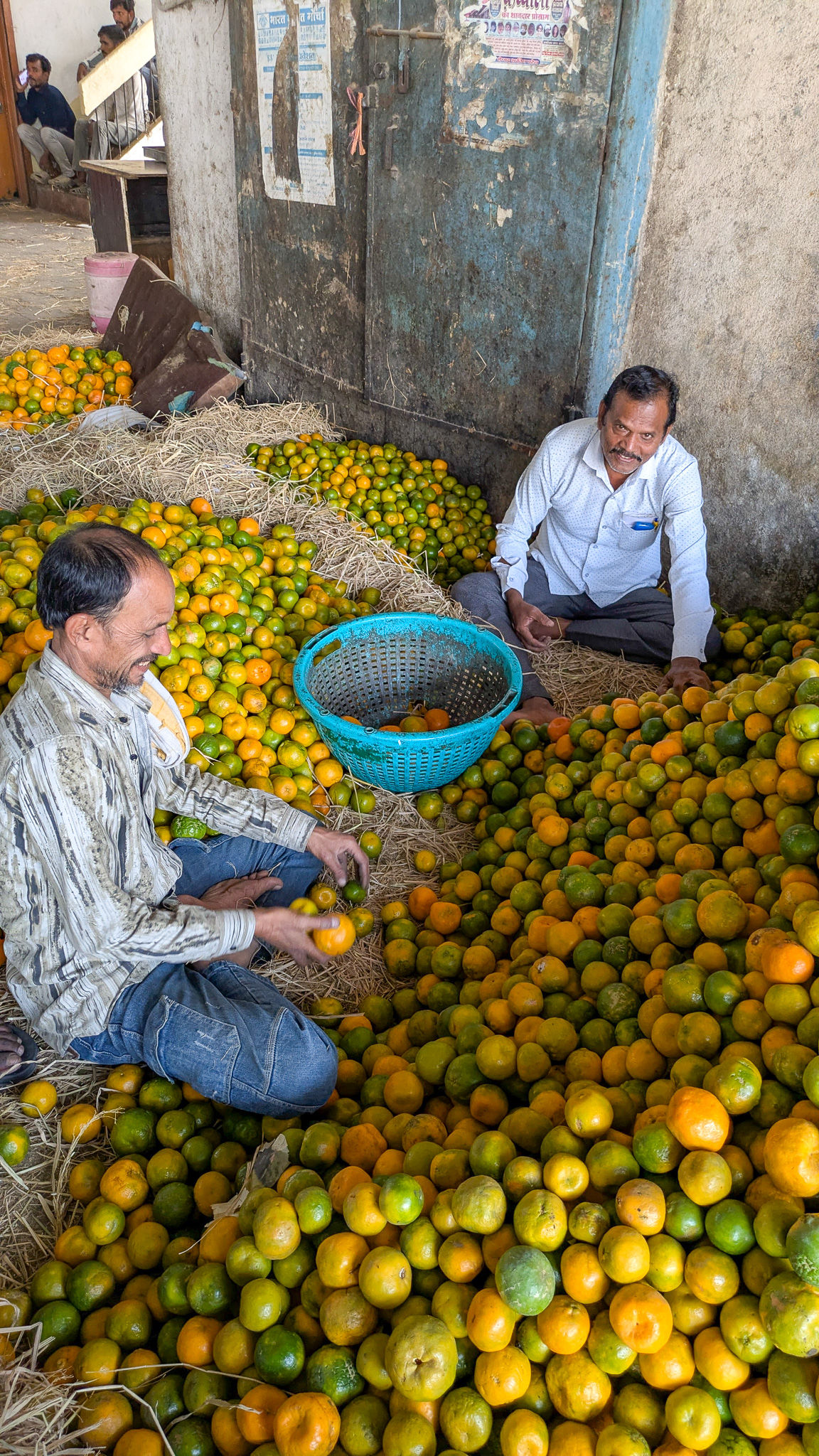 Men sorting oranges