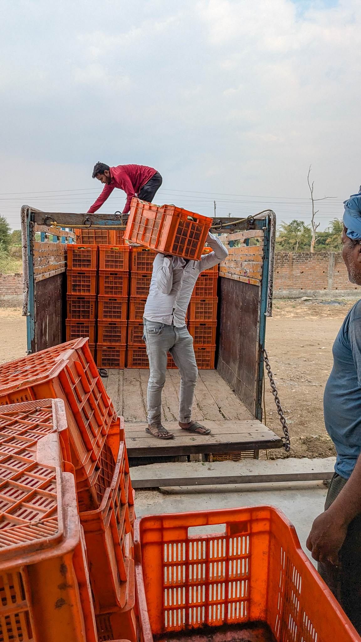 Men moving crates of oranges off a truck