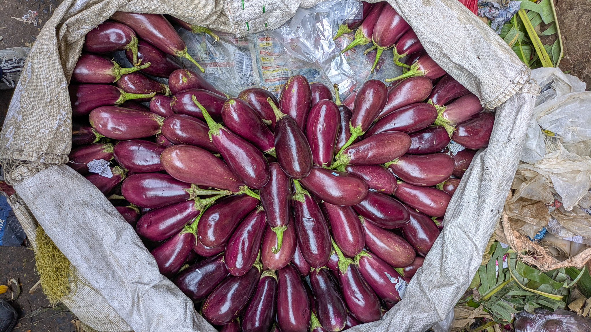 A pile of purple eggplants