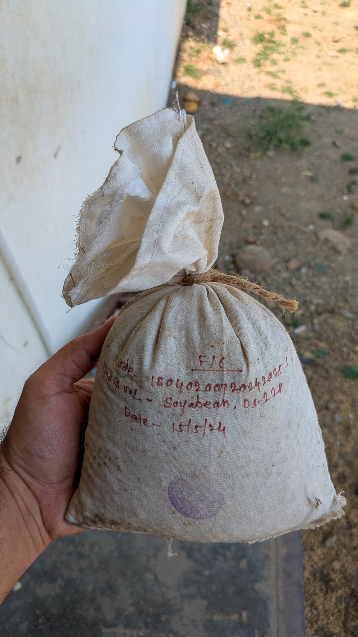 A small bag of soybeans