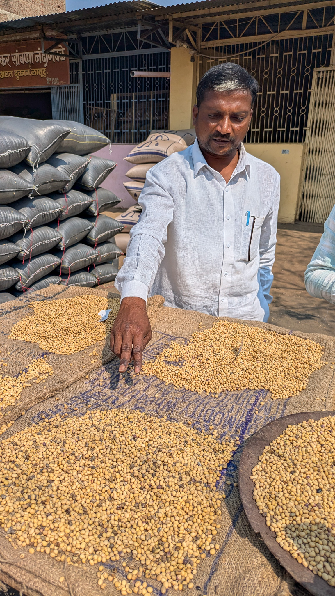 A man showing soybeans