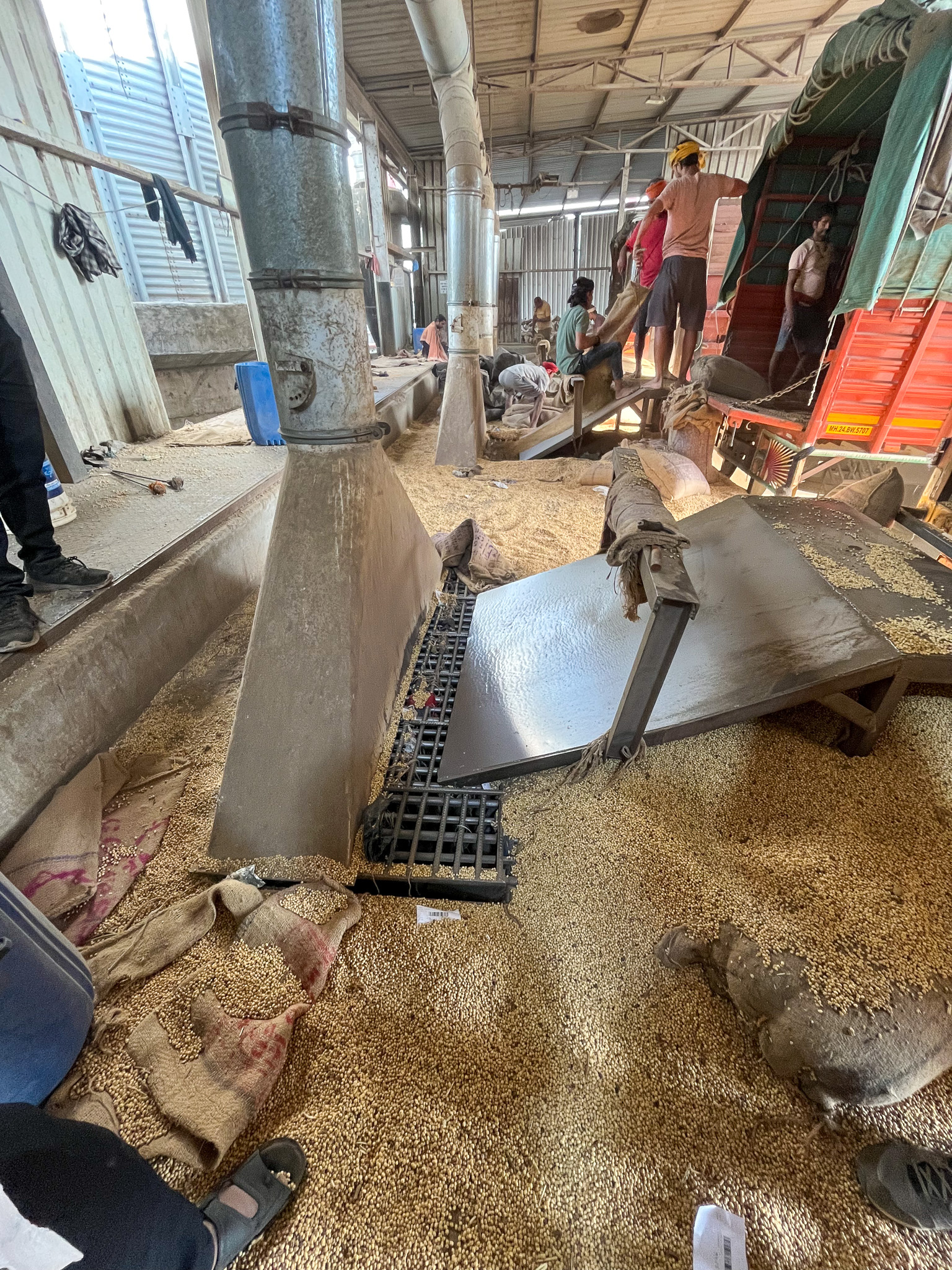 Soybeans loaded into an elevator at a processing facility