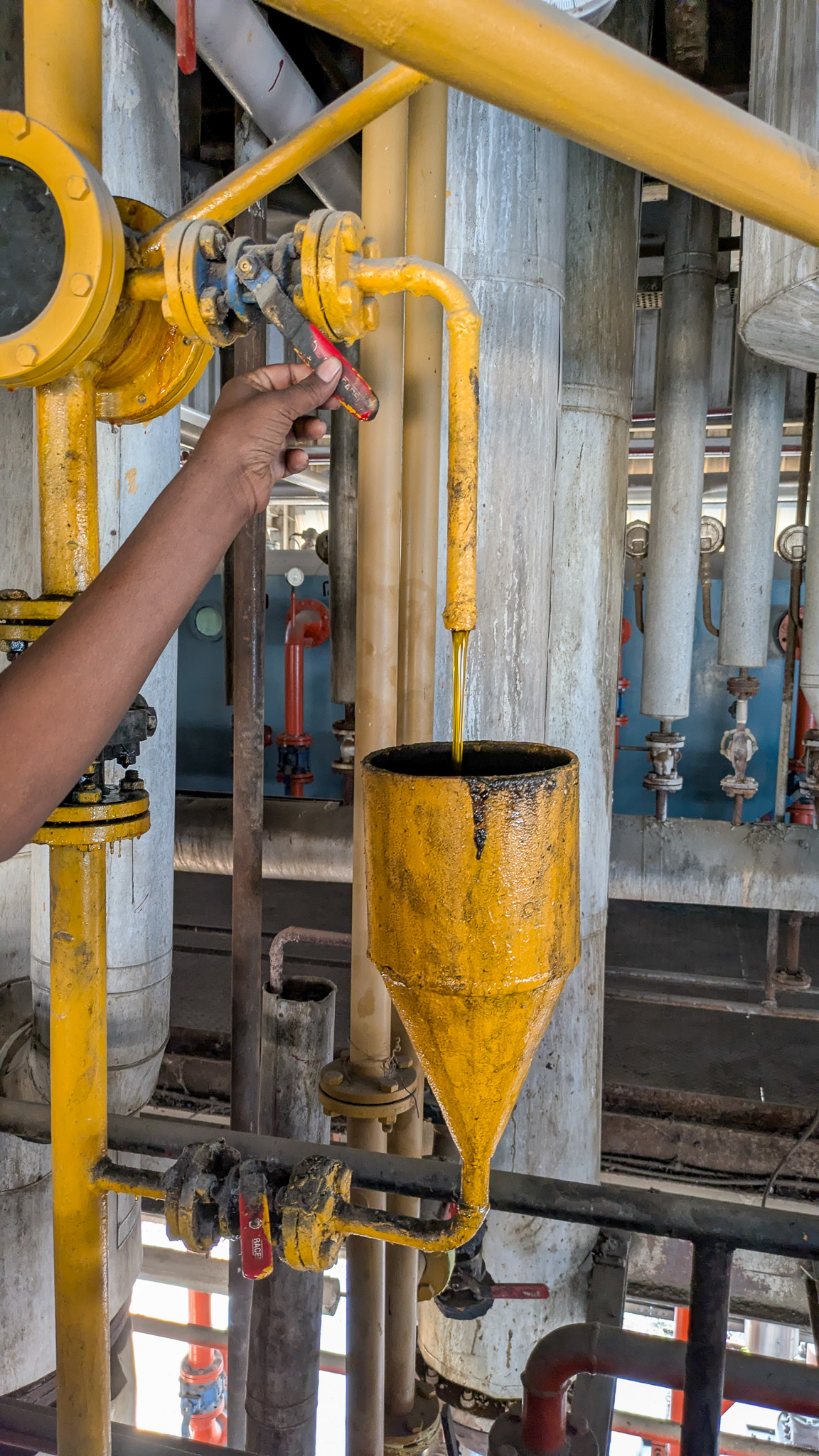Oil being extracted from soybeans